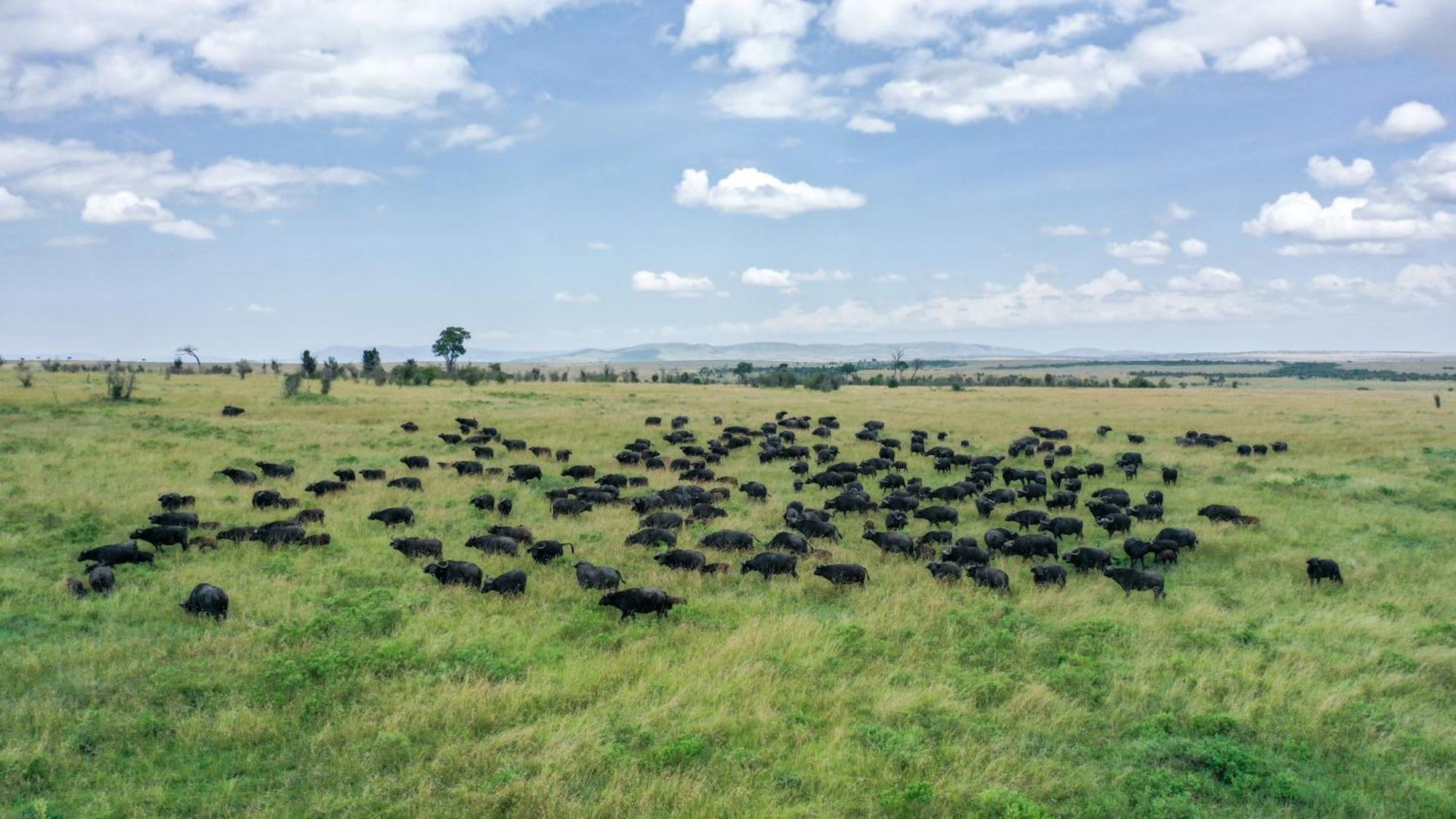 Lodge Sentrim Mara