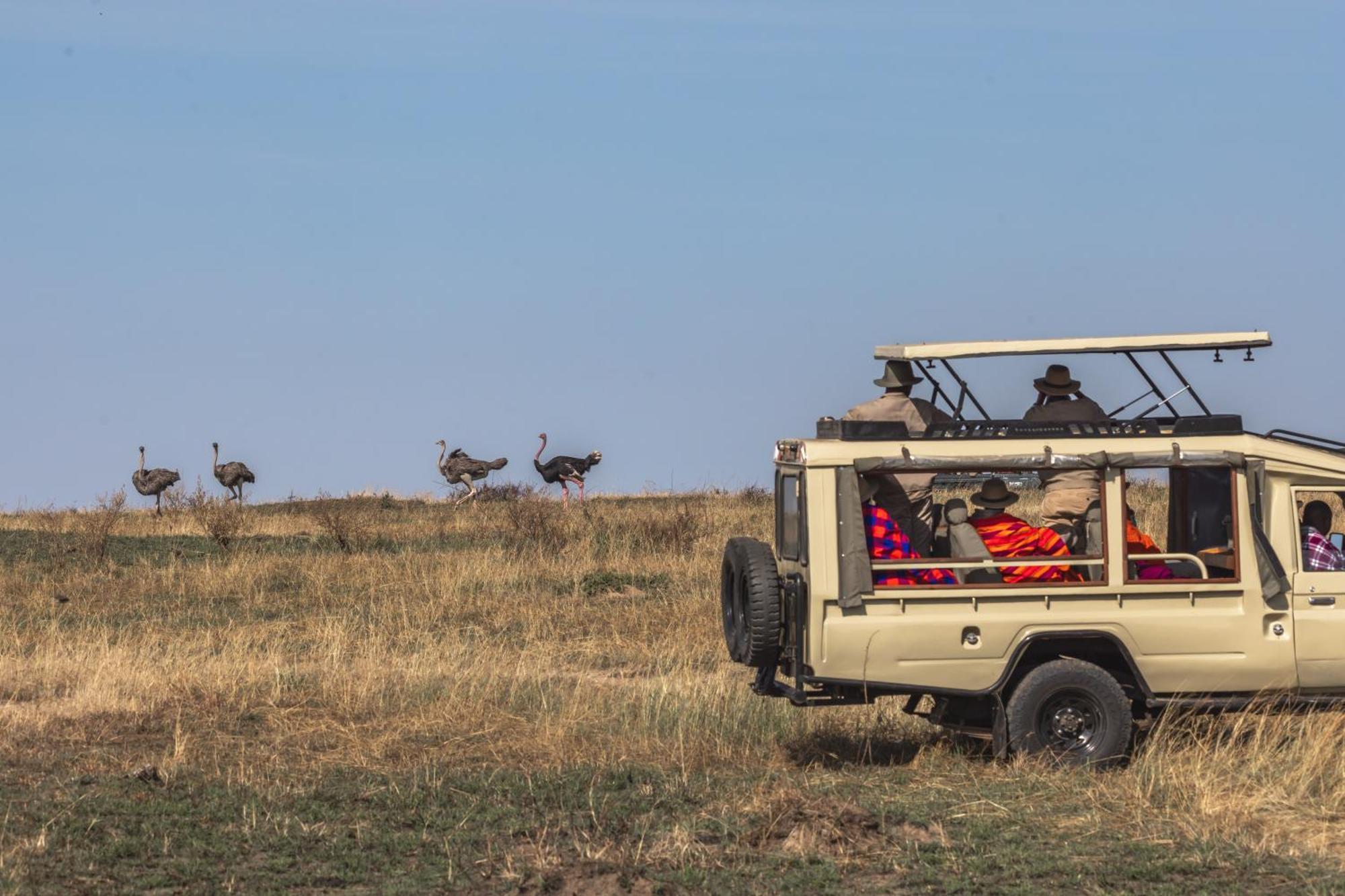 Lodge Sentrim Mara